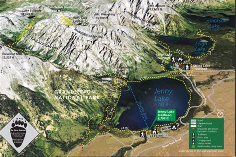 map of Jenny Lake campground, Grand Teton National Park – Mary Donahue