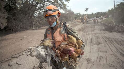 192 people missing in aftermath of Guatemala volcano eruption - ABC News