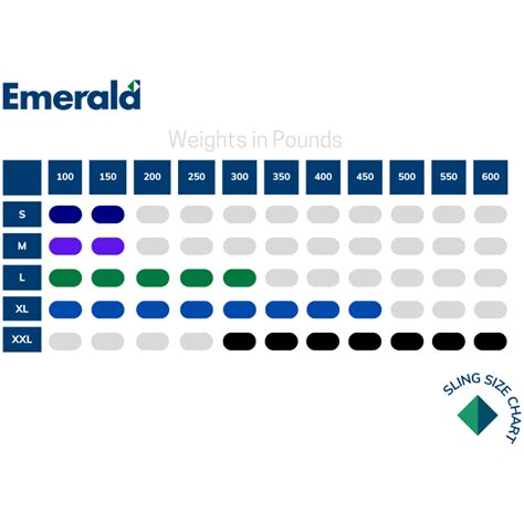 Sit to Stand Sling – Emerald Supply