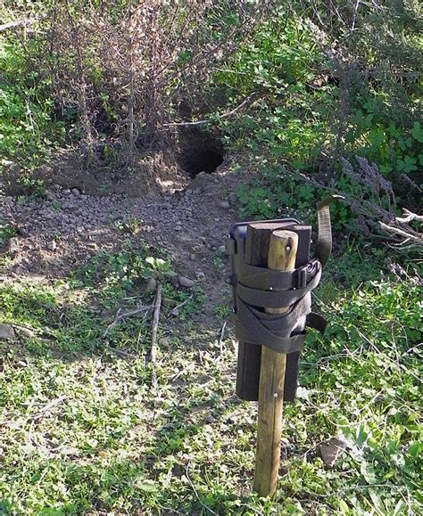 Remote Camera Trap - South Africa: July 2010