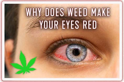 Why Does Weed Make Your Eyes Red | Weed Deals