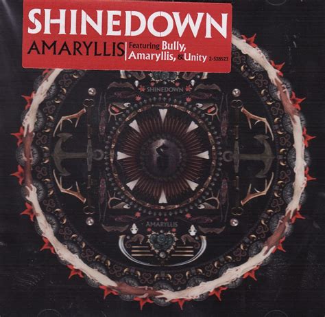 SHINEDOWN NABS 4th GOLD ALBUM FOR ‘AMARYLLIS’ | Todd Hancock