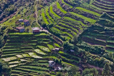 banaue rice terraces one of the 7 wonders of the world, Philippines ...