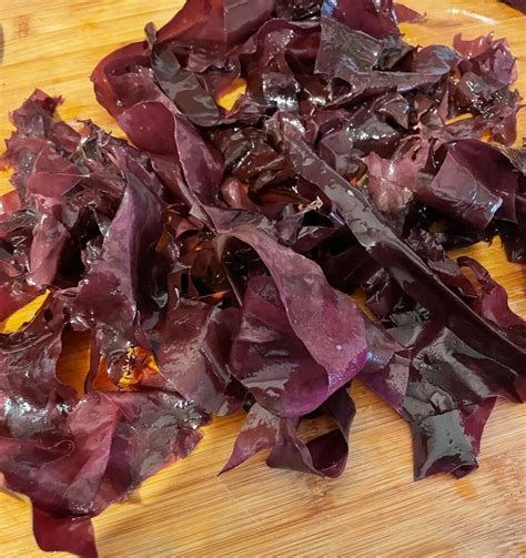 Fresh (not dried) Dulse Seaweed - The Irish Seaweed Company