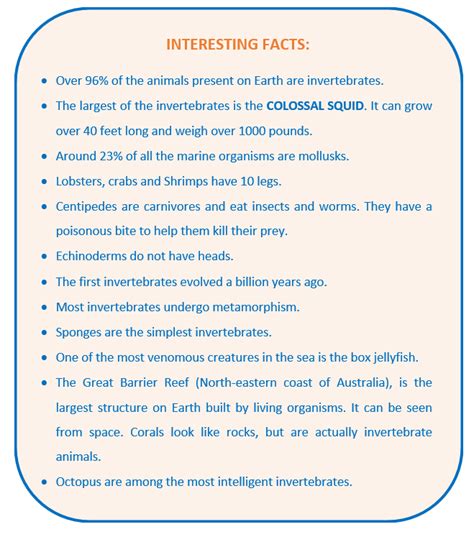 TYPES OF INVERTEBRATES - Fun with science