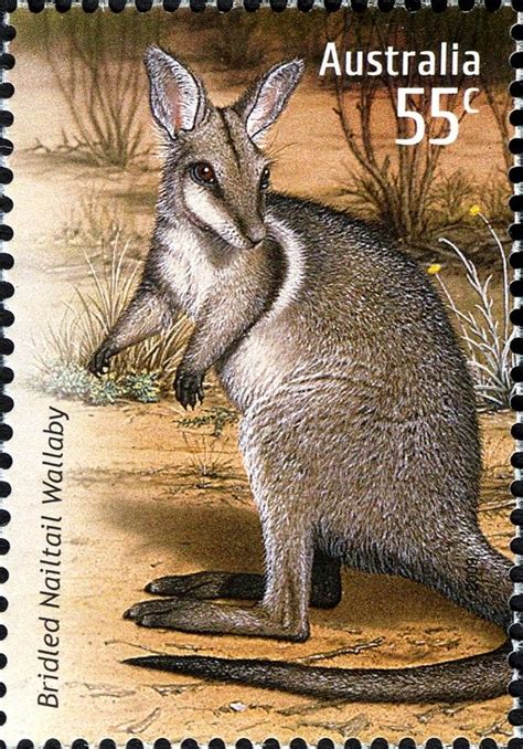 Pin by PillarBoxStudio on Australia Stamps in 2023 | Postage stamp art ...