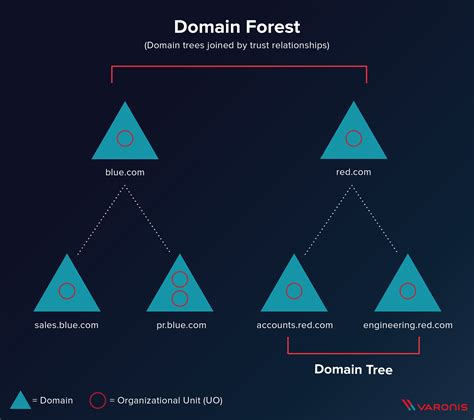 What is an Active Directory Forest?