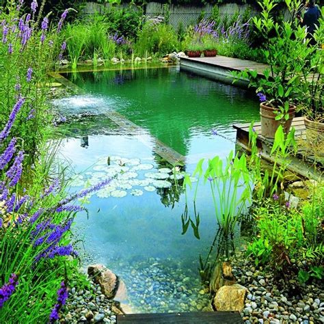 Piscinas muy naturales. Piscinas biológicas, ecológicas o naturalizadas