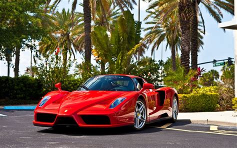 Ferrari | Exotic cars, Ferrari enzo, Car wallpapers