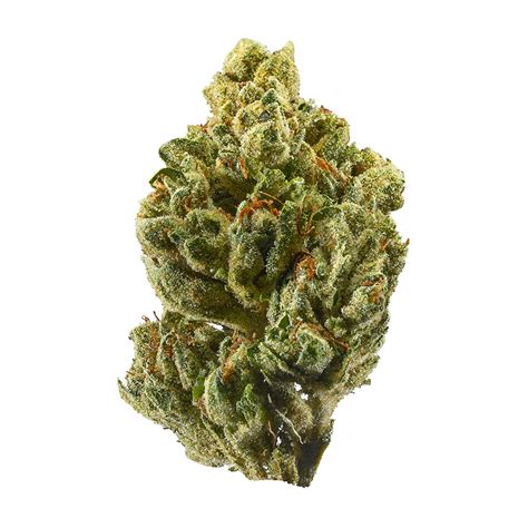 OG KUSH marijuana strain is a legendary cannabis strain that has gained widespread popularity ...