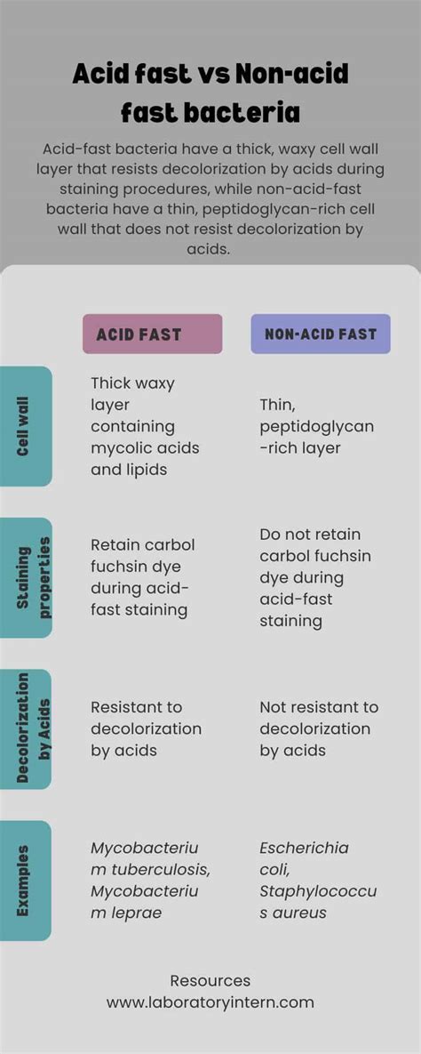 Non Acid Fast Bacteria: Examples, Definition, and Structure