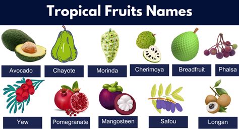 List Of Tropical Fruits In English With Pictures PDF Fruit,, 40% OFF