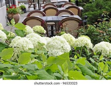 Empty Restaurant Patio Chairs Tables White Stock Photo 96533323 | Shutterstock