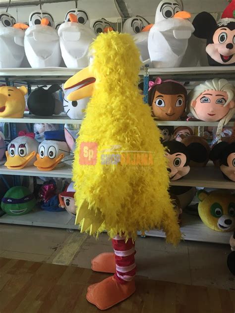 Big Bird Sesame Street Mascot Cartoon Costume