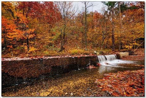 Arkansas Fall Colors 8 | Joe Jiang | Flickr