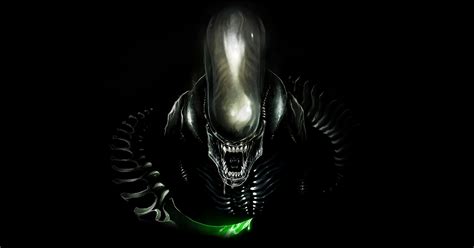 Download Xenomorph Movie Alien HD Wallpaper