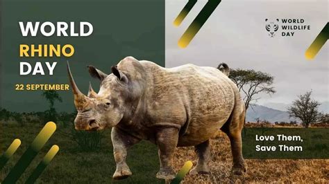 World Rhino Day 2023: Current Theme, History, How Many Types of Rhinoceros