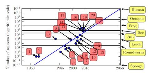 Human Brain vs Machine Learning | 7wData