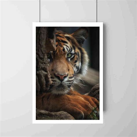 Tiger Poster, A4 & 12 x 18 Inch Poster - Lagoree Arts