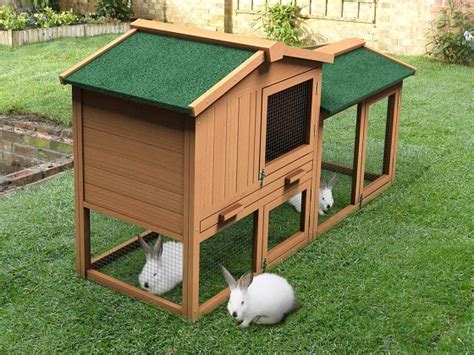 Best 6 Flemish Giant Cage & Hutch Indoor & Outdoor Models