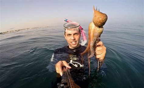 MEMO photographer starts to document Gaza’s marine life – Middle East Monitor