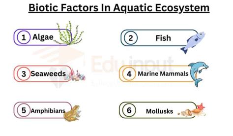 Biotic Factors In Aquatic Ecosystem