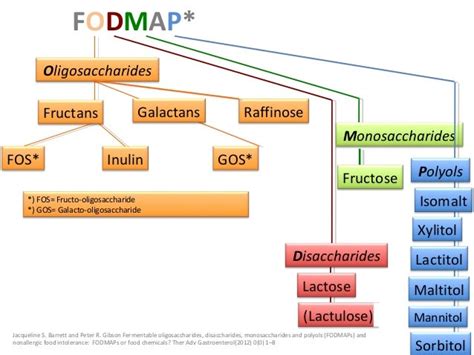 Grains and gastrointestinal symptoms