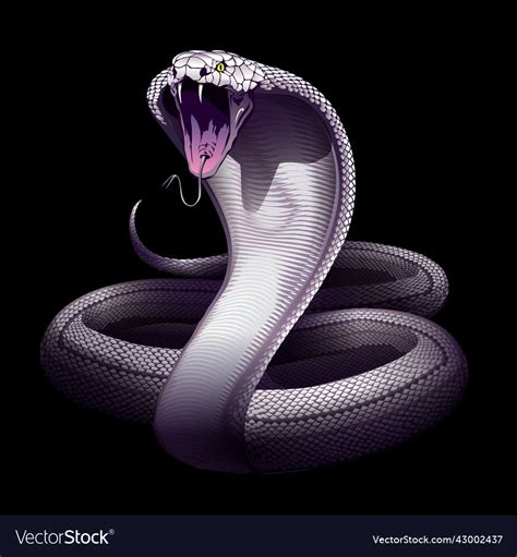 Discover 53+ white snake wallpaper - in.cdgdbentre