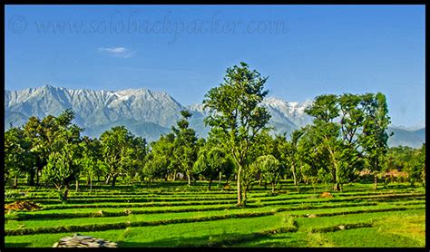 Kangra Valley Trip: Some Offbeat Experiences | Solo Backpacker