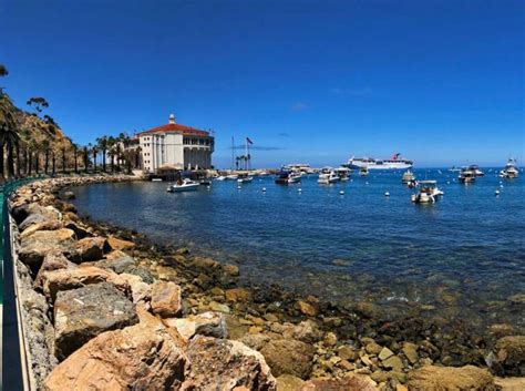 11 Catalina Island Hiking Trails to Enjoy - Go Travel California