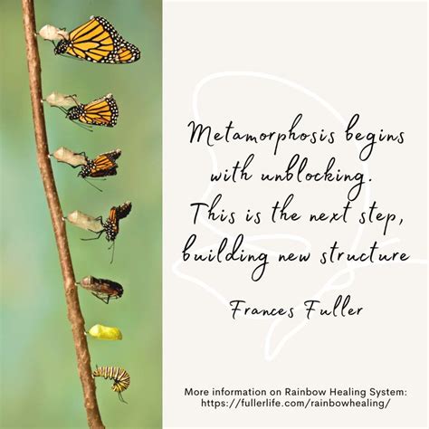 Metamorphosis | Metamorphosis quotes, Metamorphosis, Healing quotes