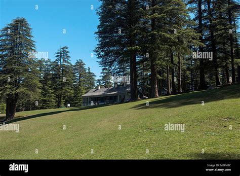 khajjiar a hill station in chamba, himachal pradesh, India, Asia Stock ...