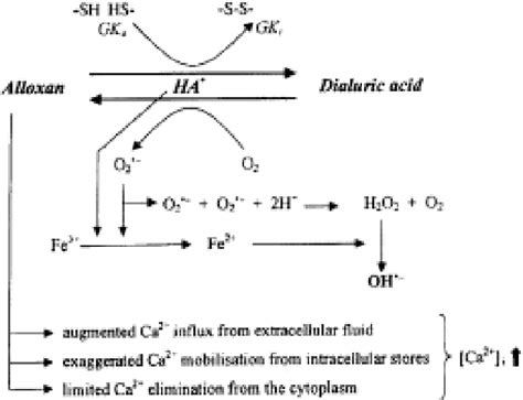 Induction Of Diabetes By Alloxan - DiabetesWalls