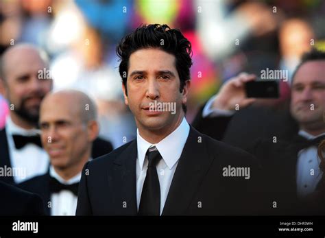 David Schwimmer 'Madagascar 3: Europe's Most Wanted' premiere- during ...