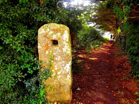 Download free photo of Menhir,brittany,trail,forest,pierre - from ...