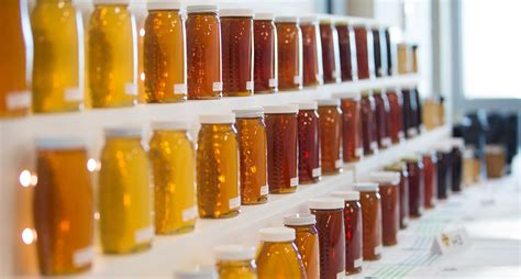 Honey Show - Honey Bee Research and Extension Lab - University of Florida, Institute of Food and ...