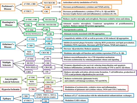 The 49+ Benefits of THC, CBD, and The Endocannabinoid System — MyBioHack | Unlock Your Maximum ...