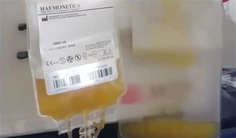 Apheresis: A new way to donate blood | Philippine News Agency