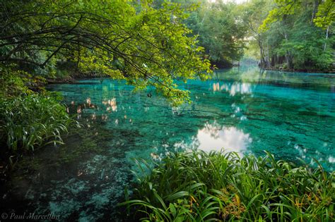 Ginnie Springs | Santa Fe River, Florida | Florida Landscape Photography by Paul Marcellini