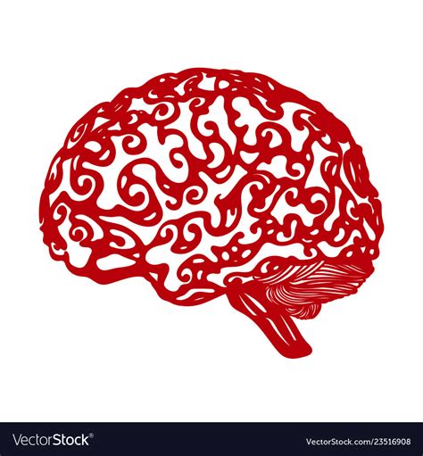 Abstract of the human brain Royalty Free Vector Image