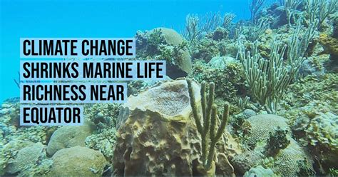 Climate change shrinks marine life richness near equator