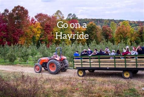 Hayride | Farm fun, Hayride, Christmas tree farm