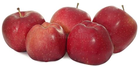 Five apples stock photo. Image of white, vegetarian, apple - 7194572