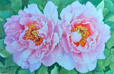 two pink peonies with green leaves in the background