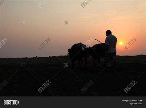 Silhouette Farmer Image & Photo (Free Trial) | Bigstock