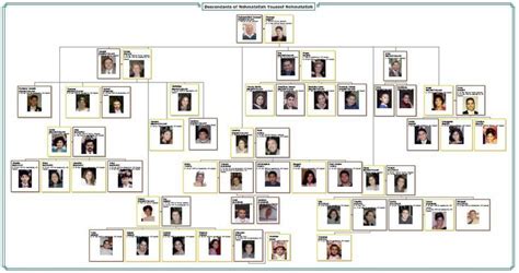 Family Tree Chart Types and Examples | Family tree maker, Family tree chart, Family tree maker free