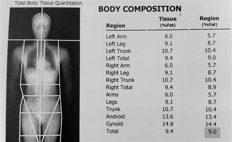 FITBOMB: DEXA Body Fat Scan