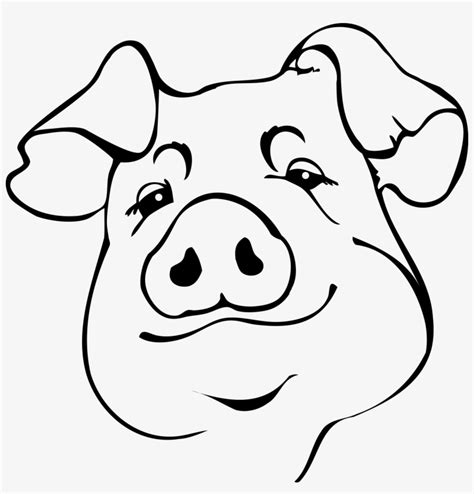 Full Size Of How To Draw An Easy Pig Face A Cute Drawing - Drawing Transparent PNG - 2048x2039 ...