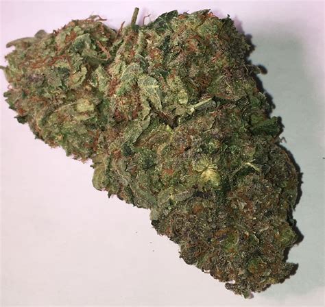 Cookies | Indica | Patient to Patient Sacramento