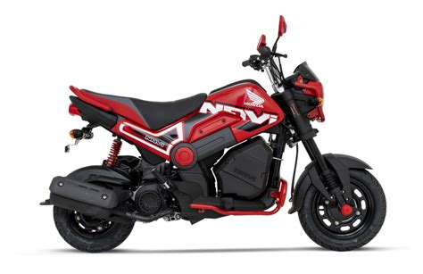 Honda Navi 2024 - Ashil Calypso